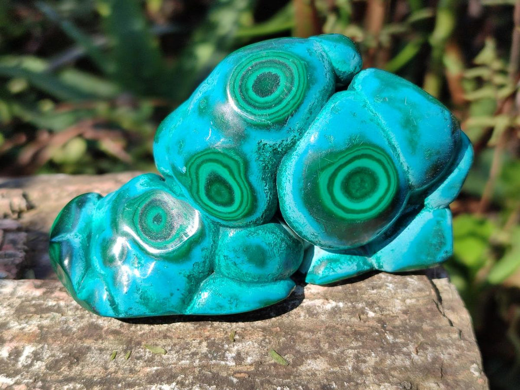 Polished Malacolla Free Forms x 6 From Kulukuluku, Congo