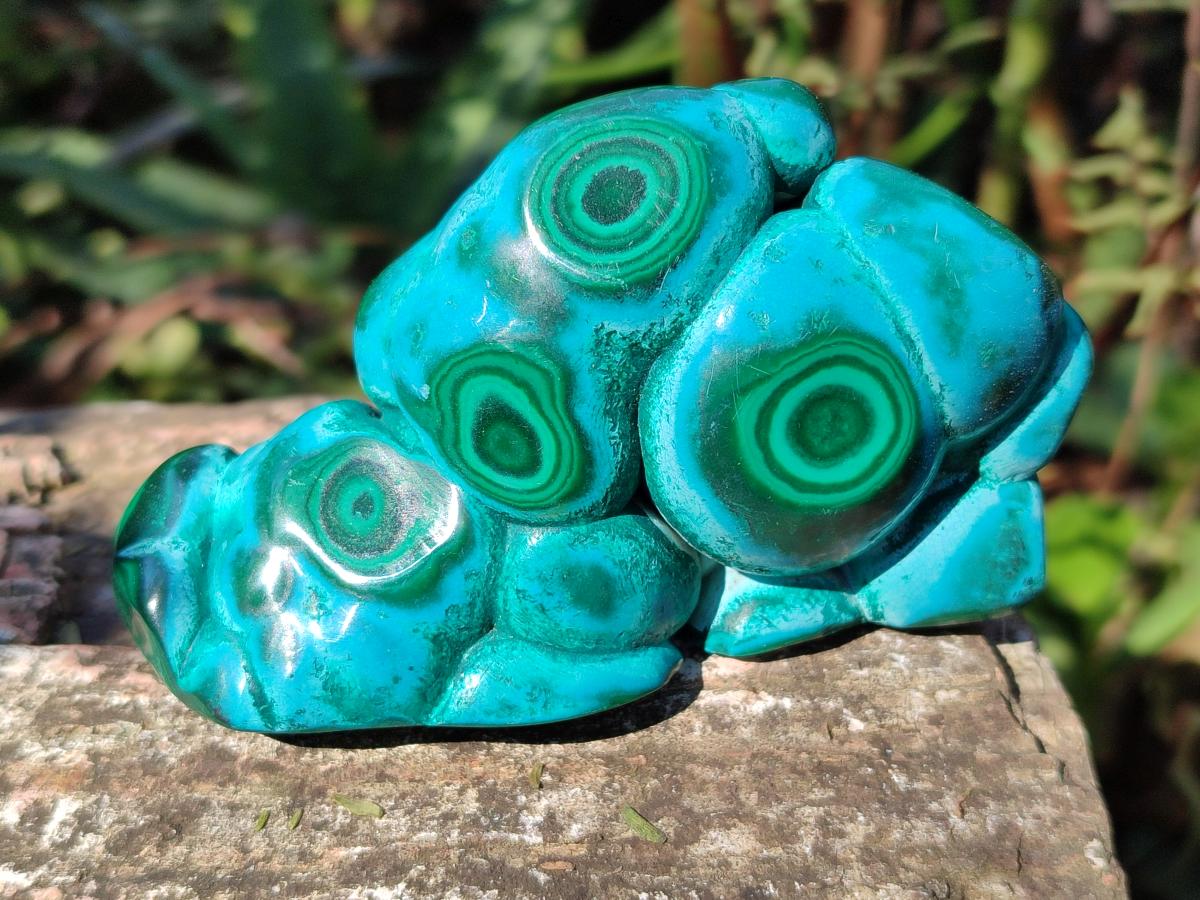 Polished Malacolla Free Forms x 6 From Kulukuluku, Congo
