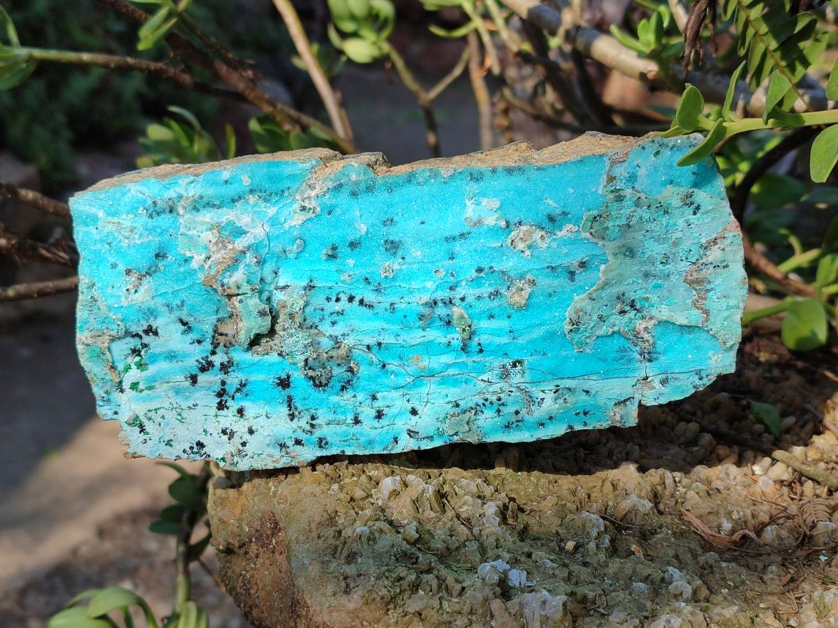 Natural Drusy Coated Chrysocolla with Malachite Specimens x 3 From Lupoto Mine, Congo