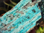 Natural Drusy Coated Chrysocolla with Malachite Specimens x 3 From Lupoto Mine, Congo