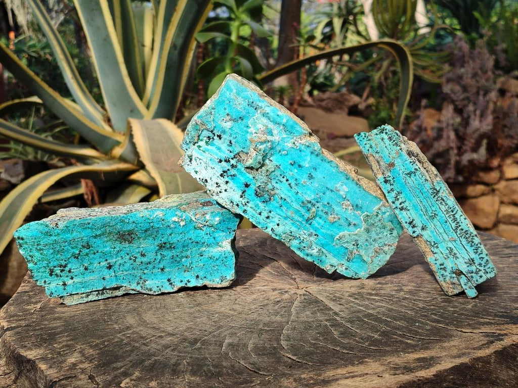 Natural Drusy Coated Chrysocolla with Malachite Specimens x 3 From Lupoto Mine, Congo