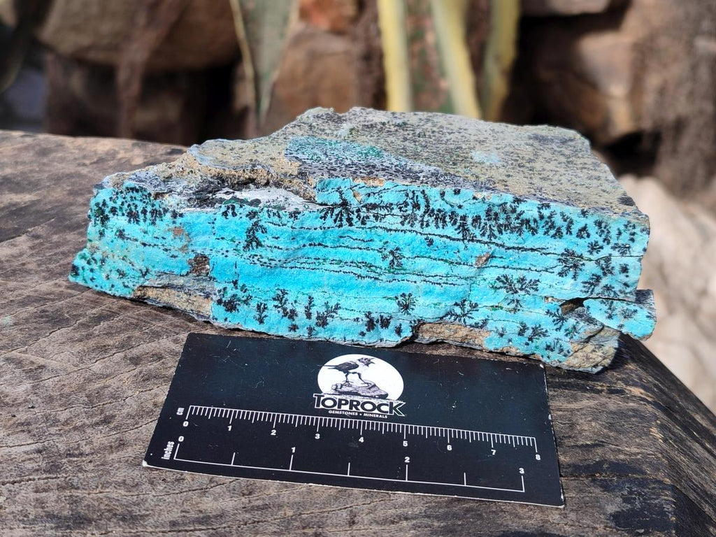 Natural Drusy Coated Chrysocolla with Malachite Specimens x 3 From Lupoto Mine, Congo