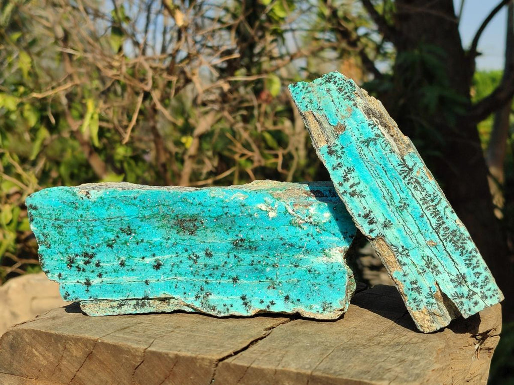 Natural Drusy Coated Chrysocolla with Malachite Specimens x 3 From Lupoto Mine, Congo