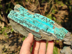 Natural Drusy Coated Chrysocolla with Malachite Specimens x 3 From Lupoto Mine, Congo