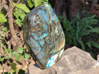 Polished Large Labradorite Standing Display Piece x 1 From Madagascar