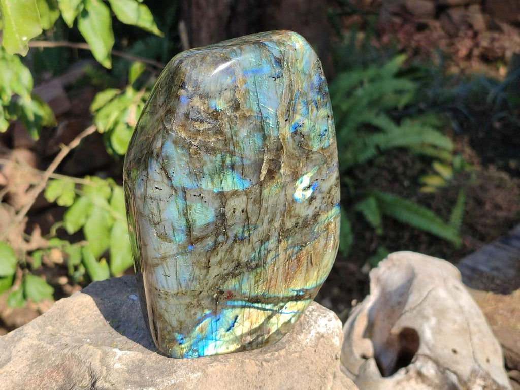 Polished Large Labradorite Standing Display Piece x 1 From Madagascar