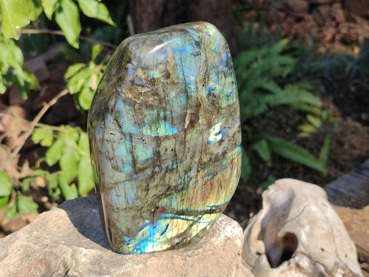 Polished Large Labradorite Standing Display Piece x 1 From Madagascar