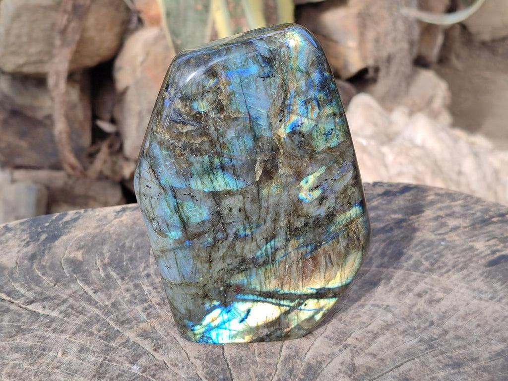 Polished Large Labradorite Standing Display Piece x 1 From Madagascar