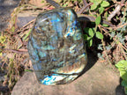 Polished Large Labradorite Standing Display Piece x 1 From Madagascar
