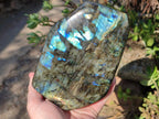 Polished Large Labradorite Standing Display Piece x 1 From Madagascar