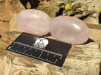 Polished Gemmy Rose Quartz Palm Stones x 12 From Madagascar