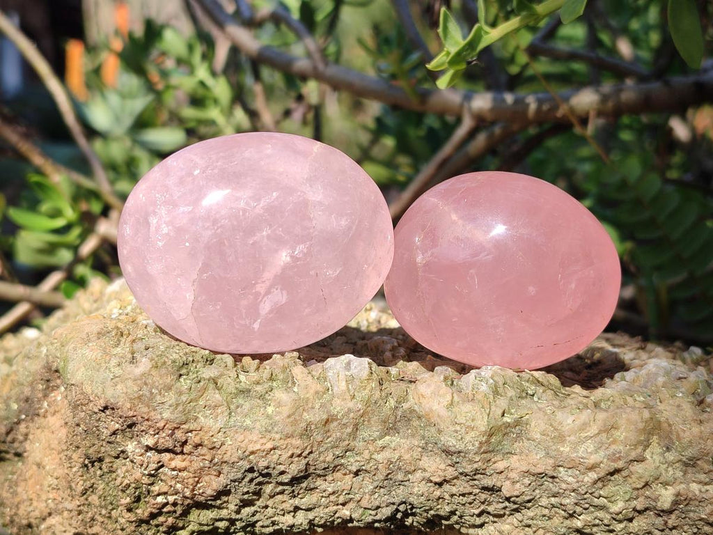 Polished Gemmy Rose Quartz Palm Stones x 12 From Madagascar