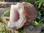 Natural XL Agate Geode with Amethyst Centre x 1 From Maintirano, Madagascar