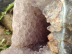 Natural XL Agate Geode with Amethyst Centre x 1 From Maintirano, Madagascar