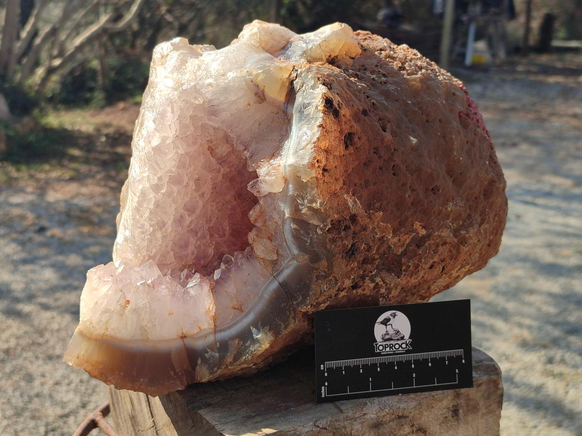 Natural XL Agate Geode with Amethyst Centre x 1 From Maintirano, Madagascar