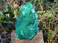 Natural XL Botryoidal Ball Malachite on Chrysocolla and Dolomite Specimen x 1 From Congo