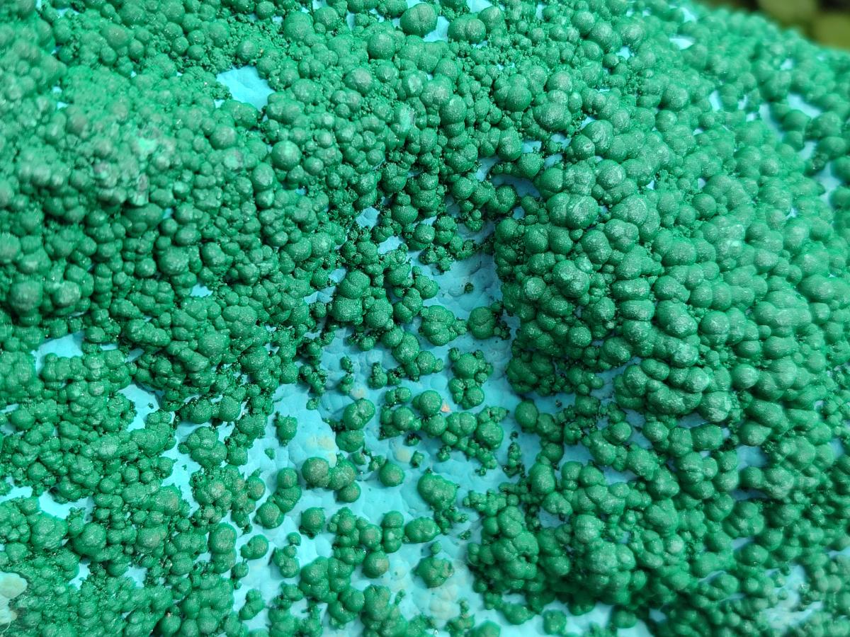 Natural XL Botryoidal Ball Malachite on Chrysocolla and Dolomite Specimen x 1 From Congo