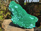 Natural XL Botryoidal Ball Malachite on Chrysocolla and Dolomite Specimen x 1 From Congo