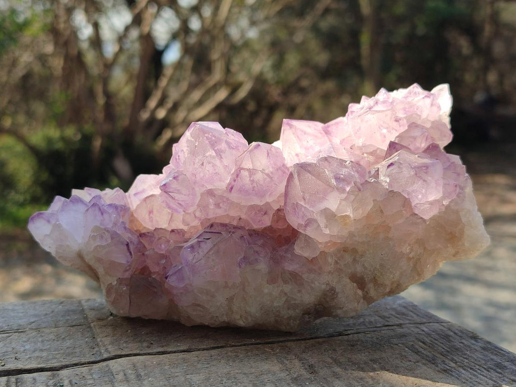 Natural Sunburst Spirit Amethyst Clusters x 3 From Boekenhouthoek, South Africa