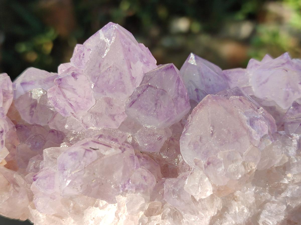 Natural Sunburst Spirit Amethyst Clusters x 3 From Boekenhouthoek, South Africa