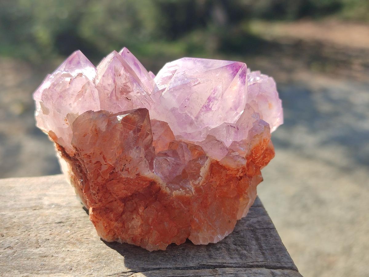 Natural Sunburst Spirit Amethyst Clusters x 3 From Boekenhouthoek, South Africa
