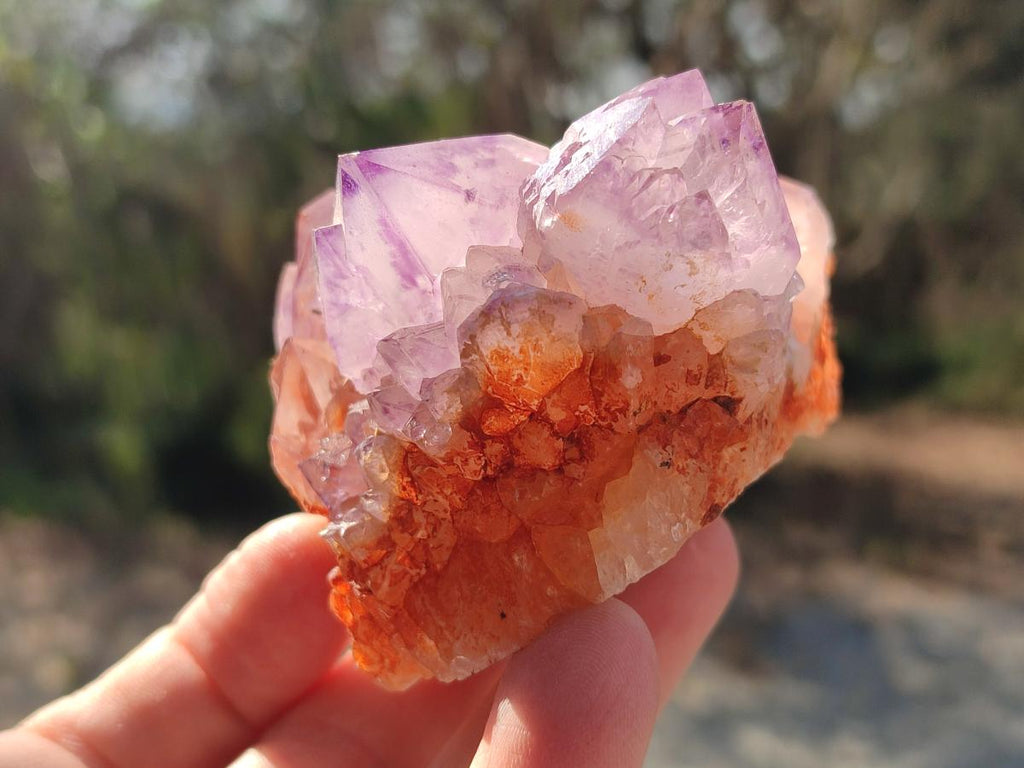 Natural Sunburst Spirit Amethyst Clusters x 3 From Boekenhouthoek, South Africa