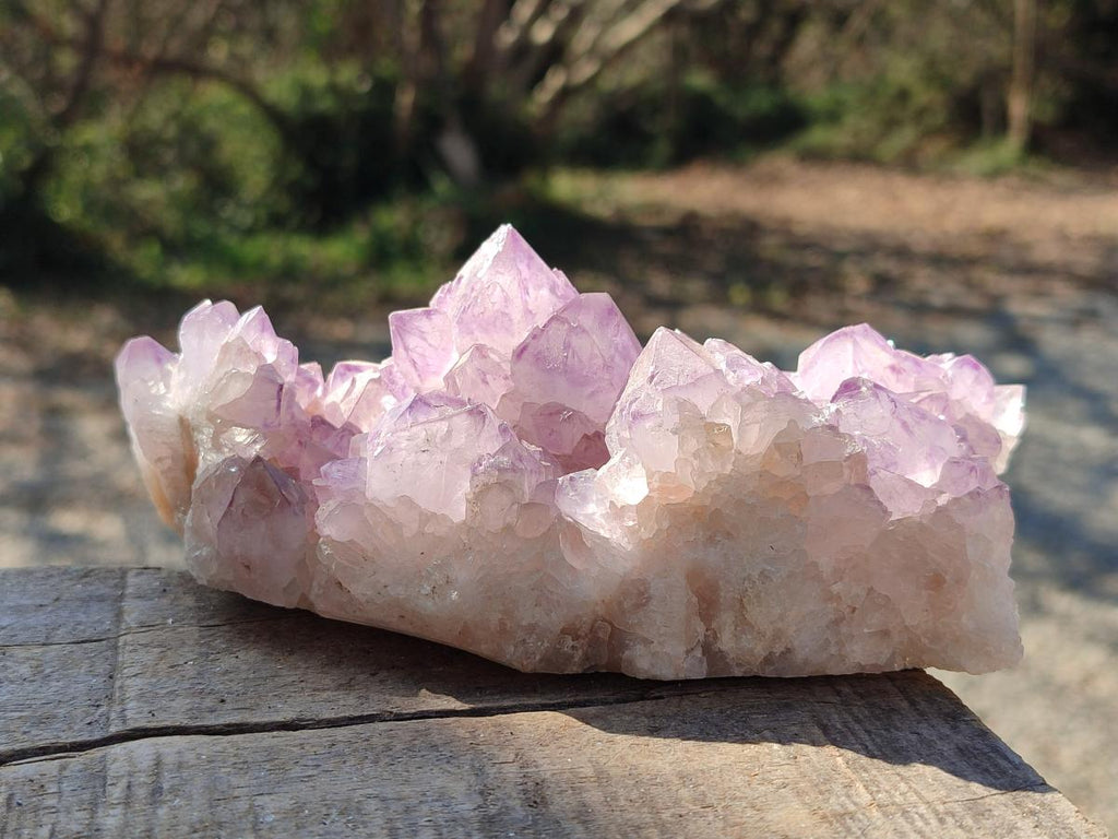 Natural Sunburst Spirit Amethyst Clusters x 3 From Boekenhouthoek, South Africa