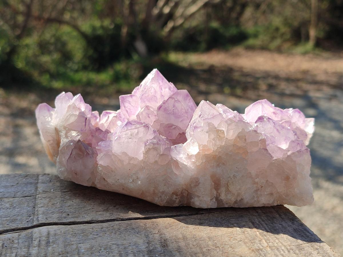 Natural Sunburst Spirit Amethyst Clusters x 3 From Boekenhouthoek, South Africa