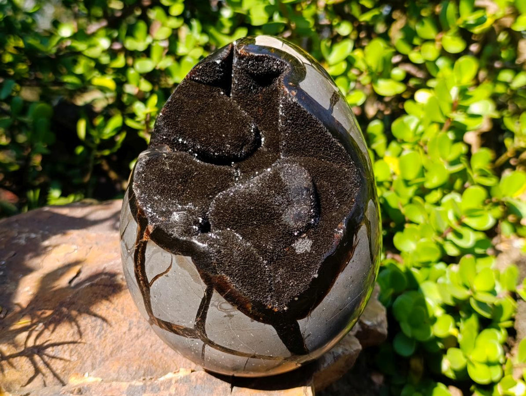 Polished and Natural Septerye Sauvage "Dragons Egg" Geode x 1 From Mahajanga, Madagascar - Toprock Gemstones and Minerals 