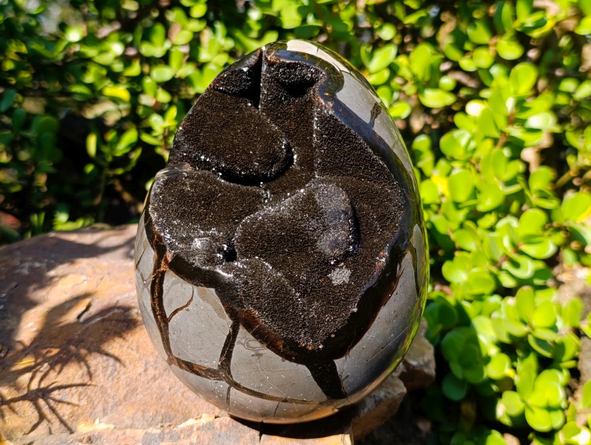Polished and Natural Septerye Sauvage "Dragons Egg" Geode x 1 From Mahajanga, Madagascar - Toprock Gemstones and Minerals 