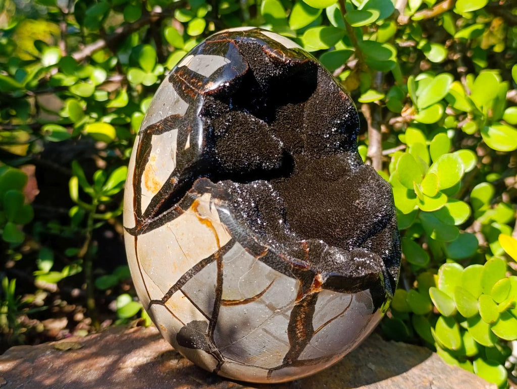 Polished and Natural Septerye Sauvage "Dragons Egg" Geode x 1 From Mahajanga, Madagascar - Toprock Gemstones and Minerals 
