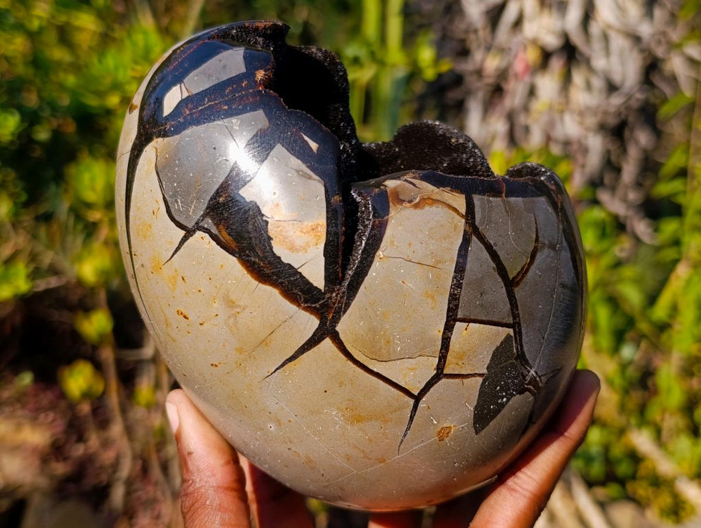 Polished and Natural Septerye Sauvage "Dragons Egg" Geode x 1 From Mahajanga, Madagascar - Toprock Gemstones and Minerals 