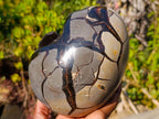 Polished and Natural Septerye Sauvage "Dragons Egg" Geode x 1 From Mahajanga, Madagascar - Toprock Gemstones and Minerals 