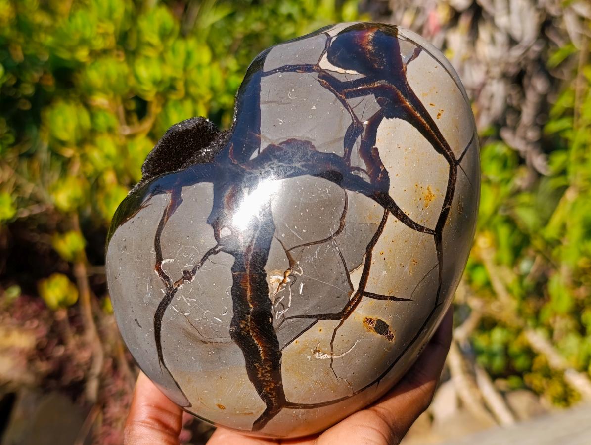 Polished and Natural Septerye Sauvage "Dragons Egg" Geode x 1 From Mahajanga, Madagascar - Toprock Gemstones and Minerals 