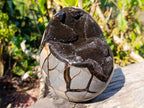 Polished and Natural Septerye Sauvage "Dragons Egg" Geode x 1 From Mahajanga, Madagascar - Toprock Gemstones and Minerals 