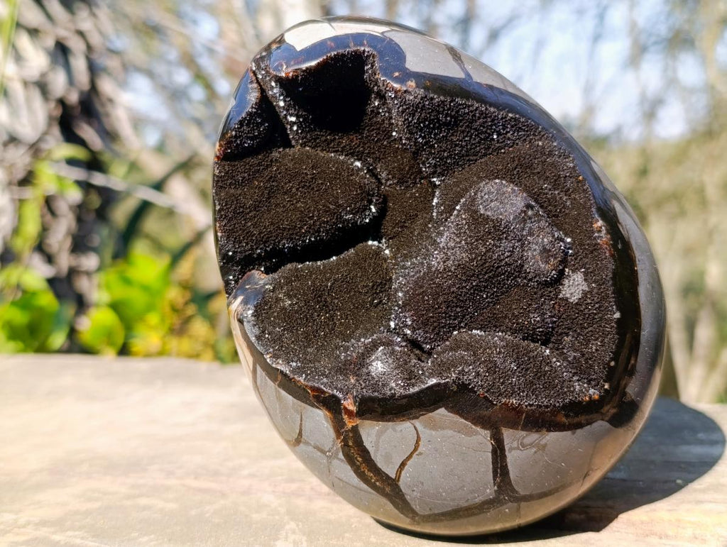 Polished and Natural Septerye Sauvage "Dragons Egg" Geode x 1 From Mahajanga, Madagascar - Toprock Gemstones and Minerals 