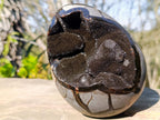Polished and Natural Septerye Sauvage "Dragons Egg" Geode x 1 From Mahajanga, Madagascar - Toprock Gemstones and Minerals 