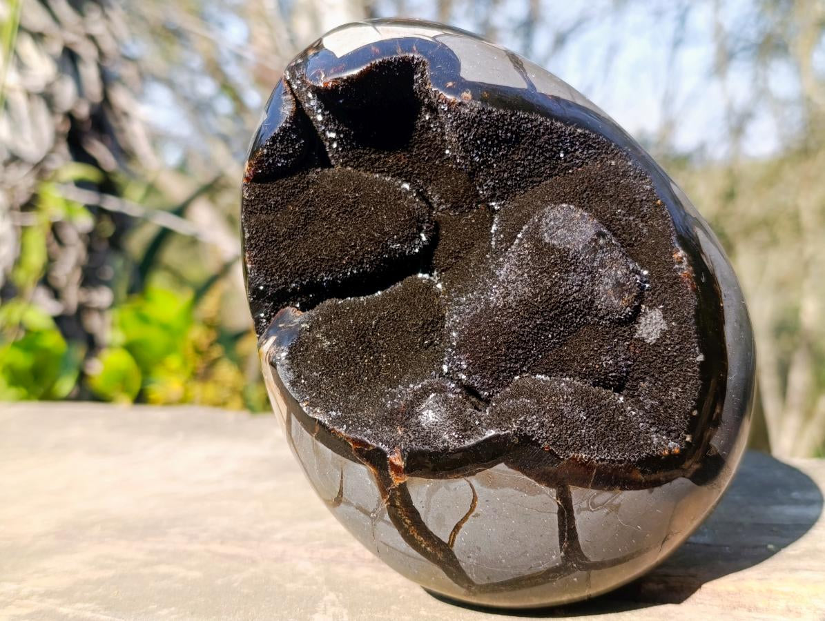 Polished and Natural Septerye Sauvage "Dragons Egg" Geode x 1 From Mahajanga, Madagascar - Toprock Gemstones and Minerals 