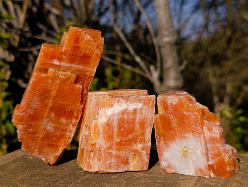 Natural Rhombohedral Sunset Orange Calcite Specimens x 12 From Spitzkop, Namibia - Toprock Gemstones and Minerals 