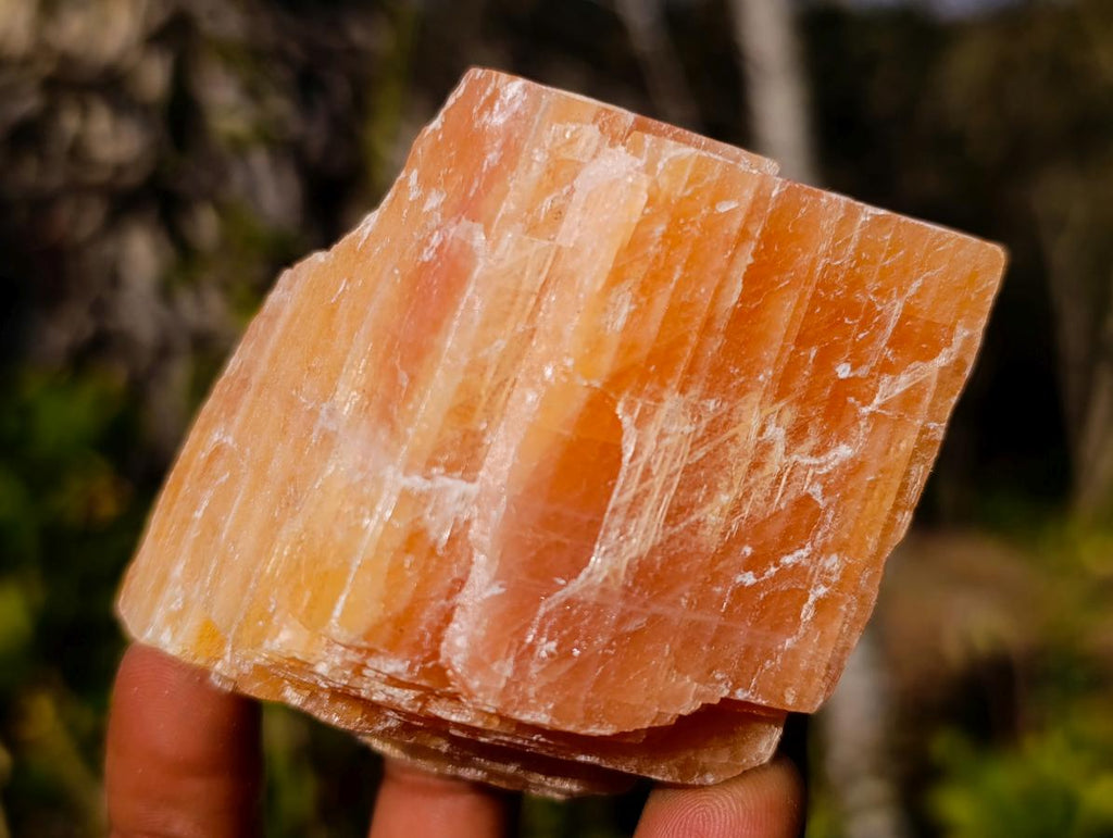 Natural Rhombohedral Sunset Orange Calcite Specimens x 12 From Spitzkop, Namibia - Toprock Gemstones and Minerals 