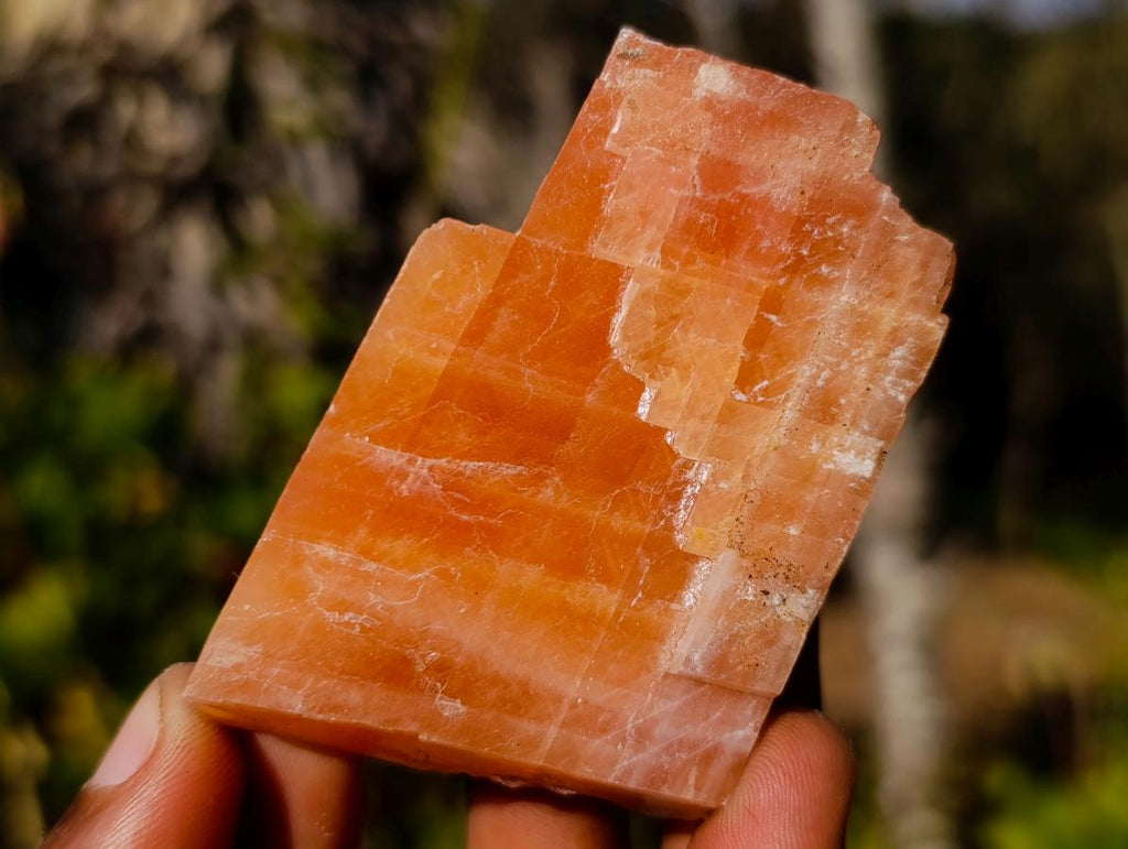 Natural Rhombohedral Sunset Orange Calcite Specimens x 12 From Spitzkop, Namibia - Toprock Gemstones and Minerals 