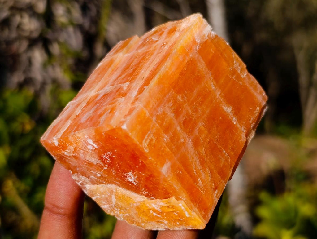 Natural Rhombohedral Sunset Orange Calcite Specimens x 12 From Spitzkop, Namibia - Toprock Gemstones and Minerals 