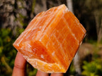 Natural Rhombohedral Sunset Orange Calcite Specimens x 12 From Spitzkop, Namibia - Toprock Gemstones and Minerals 