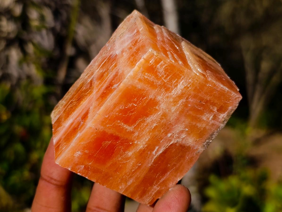 Natural Rhombohedral Sunset Orange Calcite Specimens x 12 From Spitzkop, Namibia - Toprock Gemstones and Minerals 