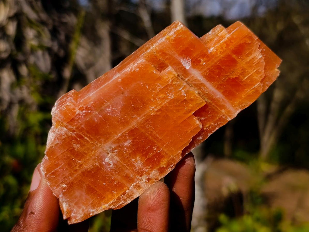 Natural Rhombohedral Sunset Orange Calcite Specimens x 12 From Spitzkop, Namibia - Toprock Gemstones and Minerals 