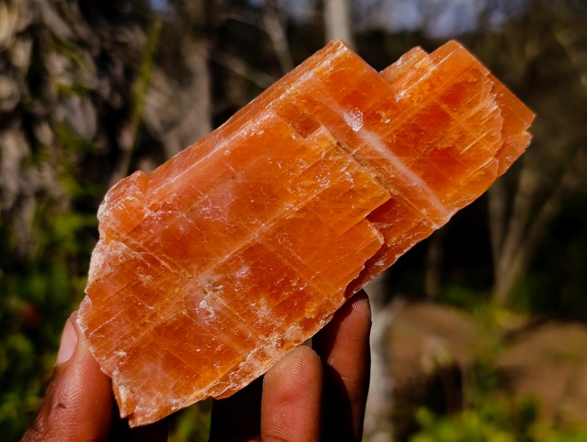 Natural Rhombohedral Sunset Orange Calcite Specimens x 12 From Spitzkop, Namibia - Toprock Gemstones and Minerals 
