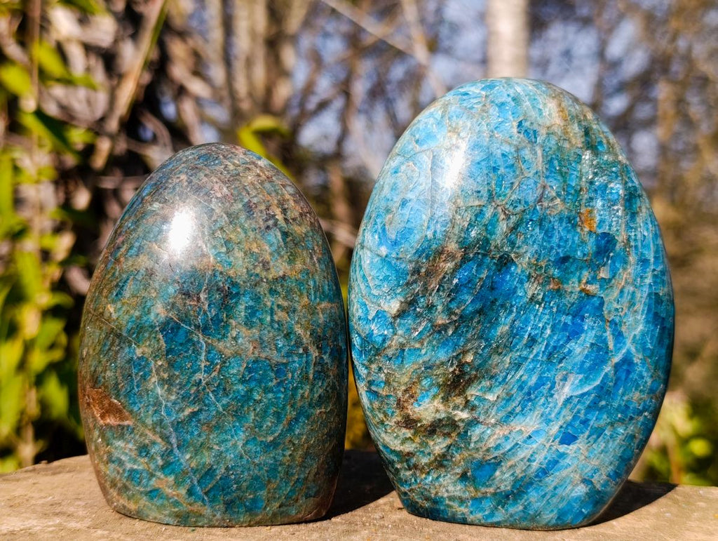 Polished Blue Apatite Standing Display Pieces x 3 From Betroka, Madagascar - Toprock Gemstones and Minerals 