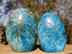 Polished Blue Apatite Standing Display Pieces x 3 From Betroka, Madagascar - Toprock Gemstones and Minerals 