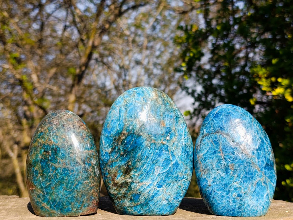 Polished Blue Apatite Standing Display Pieces x 3 From Betroka, Madagascar - Toprock Gemstones and Minerals 