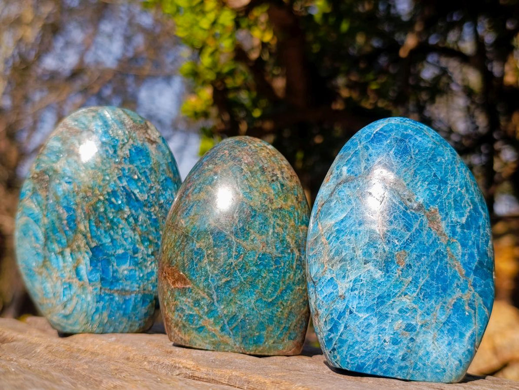 Polished Blue Apatite Standing Display Pieces x 3 From Betroka, Madagascar - Toprock Gemstones and Minerals 
